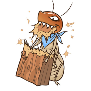 Termites